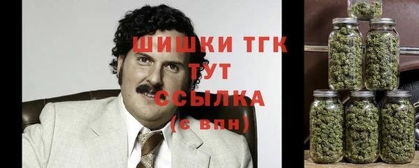 шишки Абаза