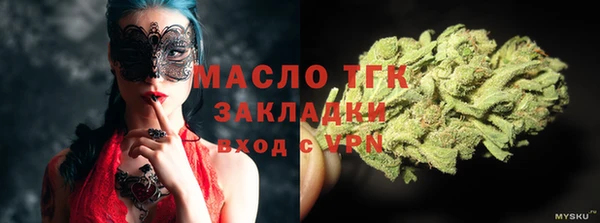 шишки Абаза