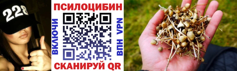 маркетплейс телеграм  Лысково  Галлюциногенные грибы Magic Shrooms 